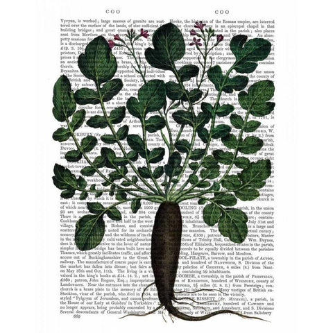 Parsnip 4 Black Modern Wood Framed Art Print by Fab Funky