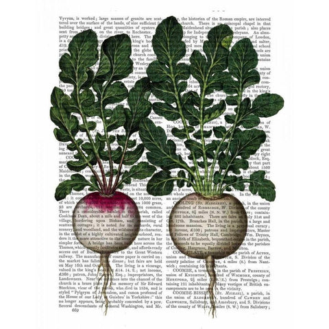 Radishes Print Gold Ornate Wood Framed Art Print with Double Matting by Fab Funky