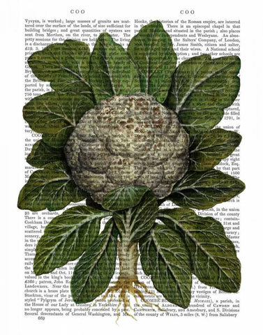 Cauliflower Black Ornate Wood Framed Art Print with Double Matting by Fab Funky