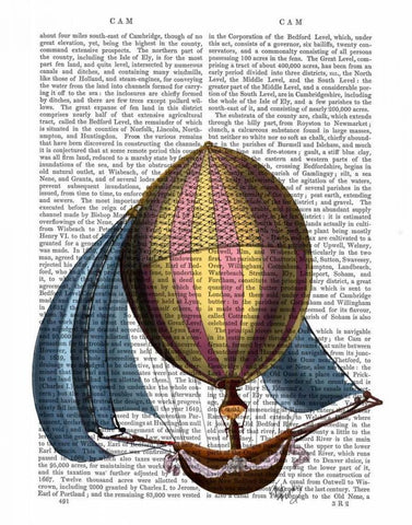 AirShip with Blue Sails White Modern Wood Framed Art Print with Double Matting by Fab Funky