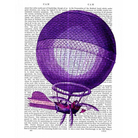 Blanchards Hydrogen (Purple) Hot Air Balloon Black Modern Wood Framed Art Print with Double Matting by Fab Funky