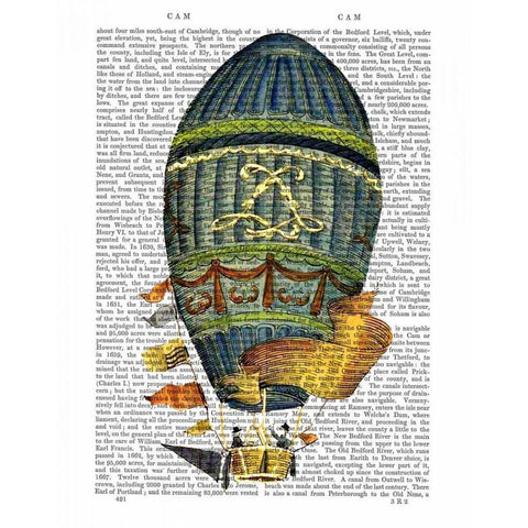 Blue Cylindrical Hot Air Balloon Gold Ornate Wood Framed Art Print with Double Matting by Fab Funky