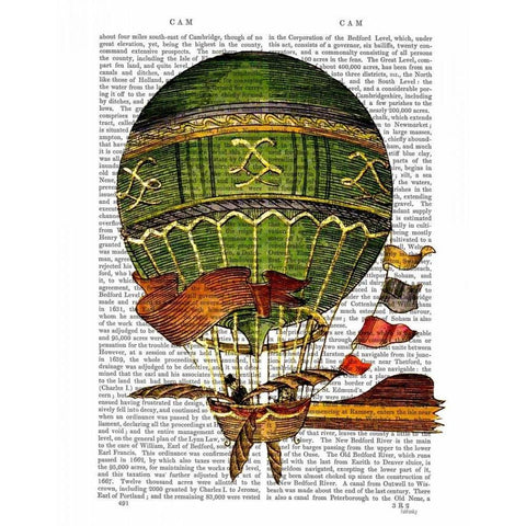 Hot Air Balloon Green White Modern Wood Framed Art Print by Fab Funky