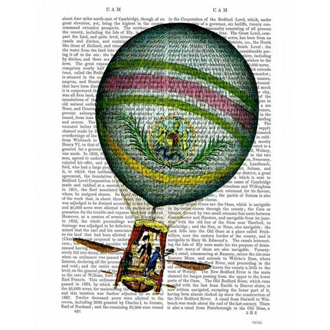 Light Blue Hot Air Balloon Gold Ornate Wood Framed Art Print with Double Matting by Fab Funky