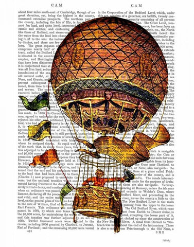 Hot Air Balloon with Flags Black Ornate Wood Framed Art Print with Double Matting by Fab Funky