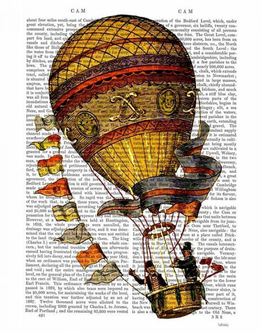 Hot Air Balloon Gold with Flags White Modern Wood Framed Art Print with Double Matting by Fab Funky