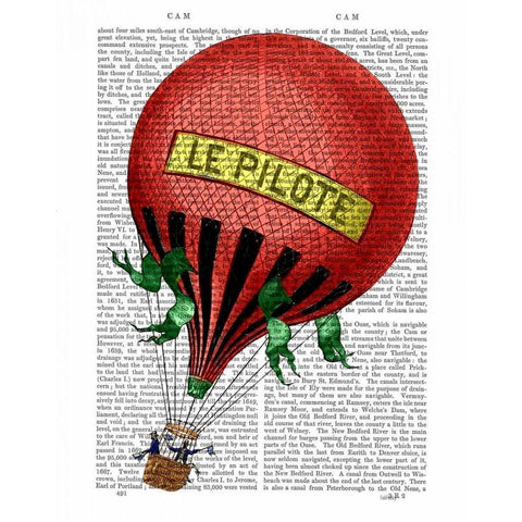 Le Pilote Hot Air Balloon Black Modern Wood Framed Art Print with Double Matting by Fab Funky