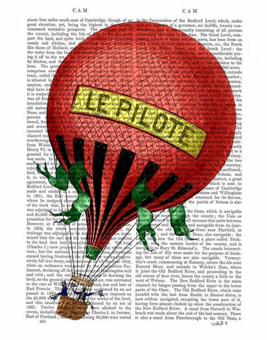 Le Pilote Hot Air Balloon White Modern Wood Framed Art Print with Double Matting by Fab Funky