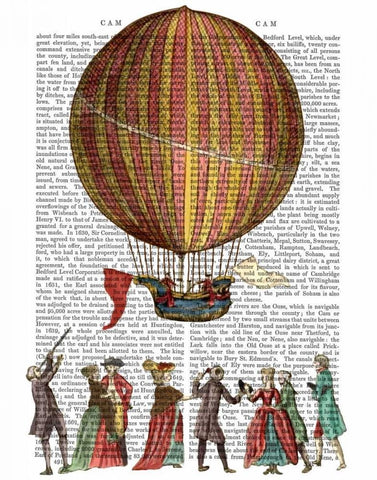 Hot Air Balloon And People Black Ornate Wood Framed Art Print with Double Matting by Fab Funky