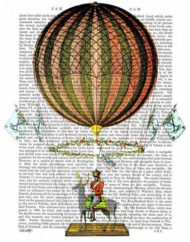 Hot Air Balloon Zephire Black Ornate Wood Framed Art Print with Double Matting by Fab Funky