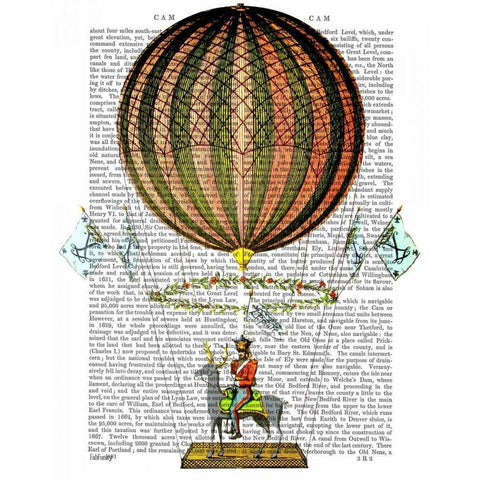 Hot Air Balloon Zephire Gold Ornate Wood Framed Art Print with Double Matting by Fab Funky