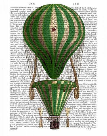 Tiered Hot Air Balloon Green Black Ornate Wood Framed Art Print with Double Matting by Fab Funky