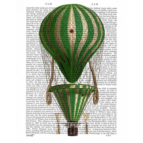 Tiered Hot Air Balloon Green Black Modern Wood Framed Art Print with Double Matting by Fab Funky