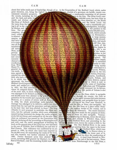 Royal Nassau Balloon Hot Air Balloon White Modern Wood Framed Art Print with Double Matting by Fab Funky