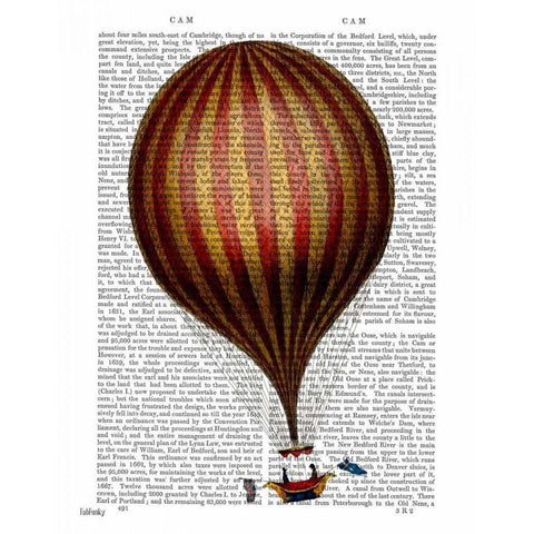 Royal Nassau Balloon Hot Air Balloon White Modern Wood Framed Art Print by Fab Funky