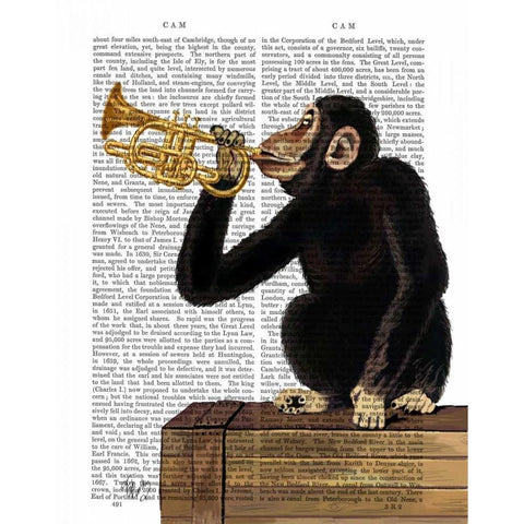 Monkey Playing Trumpet Black Modern Wood Framed Art Print with Double Matting by Fab Funky