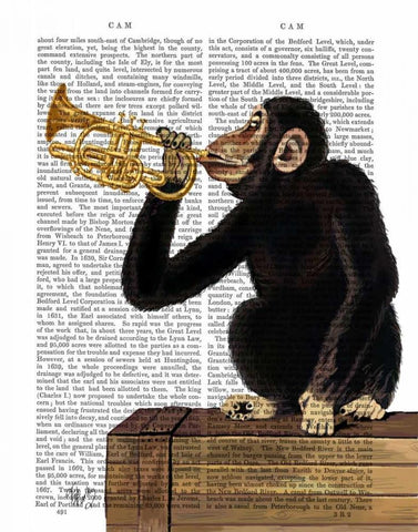 Monkey Playing Trumpet Black Ornate Wood Framed Art Print with Double Matting by Fab Funky