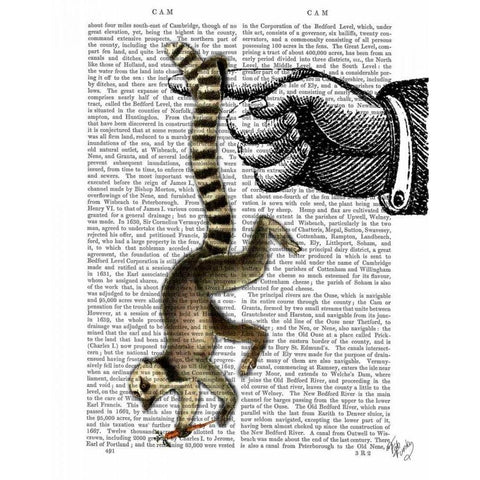 Ring Tailed Lemur on Finger Black Modern Wood Framed Art Print with Double Matting by Fab Funky