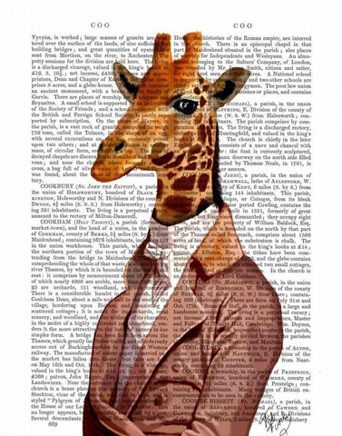 Regency Giraffe White Modern Wood Framed Art Print with Double Matting by Fab Funky