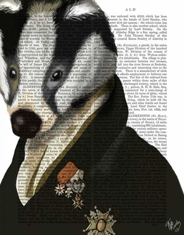 Badger the Hero Black Ornate Wood Framed Art Print with Double Matting by Fab Funky