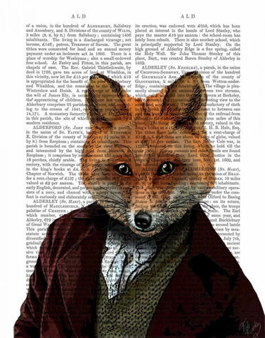 Fox Portrait 2 White Modern Wood Framed Art Print with Double Matting by Fab Funky