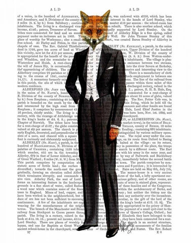 Fox In Evening Suit Full White Modern Wood Framed Art Print with Double Matting by Fab Funky