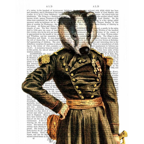 General Badger White Modern Wood Framed Art Print by Fab Funky