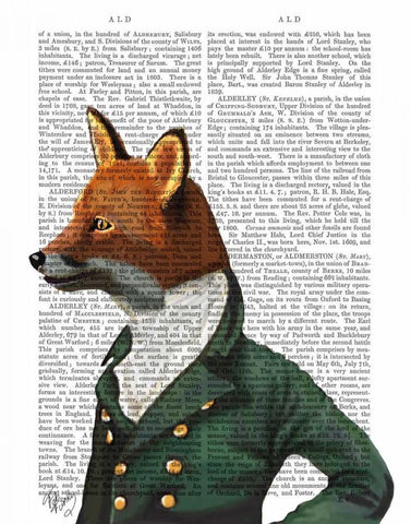 Dandy Fox Portrait Black Ornate Wood Framed Art Print with Double Matting by Fab Funky