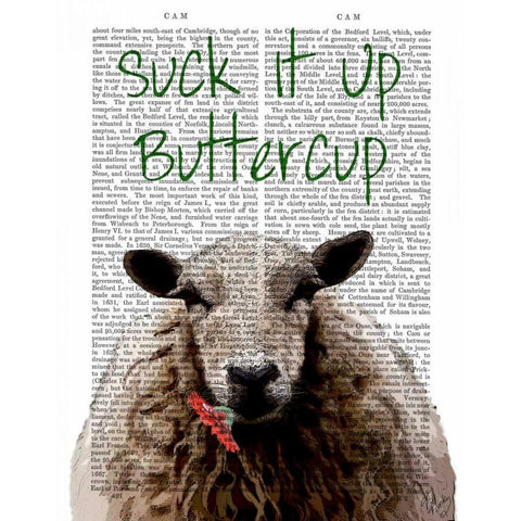 Suck It Up Buttercup Black Modern Wood Framed Art Print with Double Matting by Fab Funky