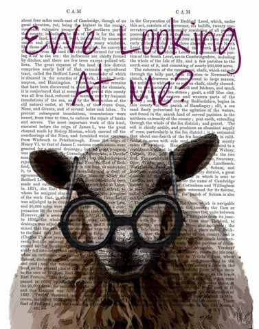 Ewe Looking at Me DeNiro Sheep White Modern Wood Framed Art Print with Double Matting by Fab Funky