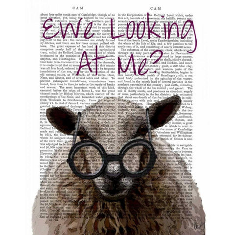 Ewe Looking at Me DeNiro Sheep Black Modern Wood Framed Art Print with Double Matting by Fab Funky