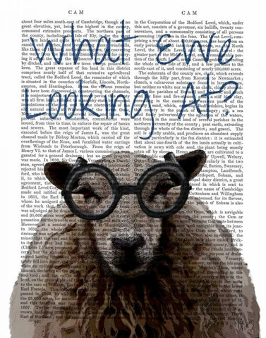 What Ewe Looking At White Modern Wood Framed Art Print with Double Matting by Fab Funky