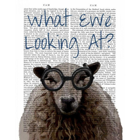 What Ewe Looking At Black Modern Wood Framed Art Print with Double Matting by Fab Funky