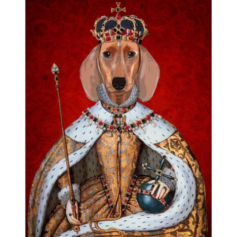 Dachshund Queen  Black Modern Wood Framed Art Print with Double Matting by Fab Funky