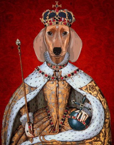 Dachshund Queen  White Modern Wood Framed Art Print with Double Matting by Fab Funky