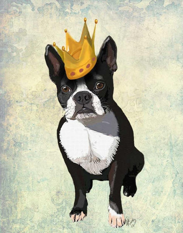 Boston Terrier and Crown White Modern Wood Framed Art Print with Double Matting by Fab Funky