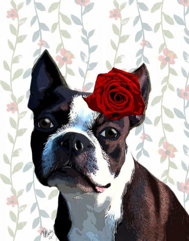 Boston Terrier with Rose on Head White Modern Wood Framed Art Print with Double Matting by Fab Funky