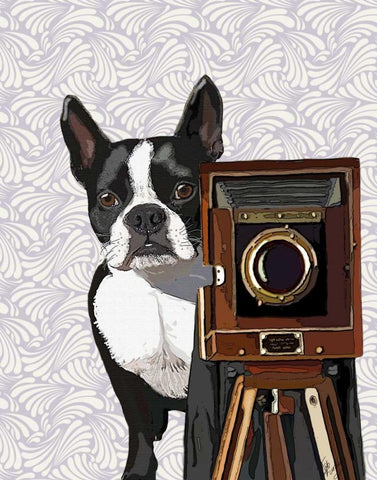 Boston Terrier Photographer Black Ornate Wood Framed Art Print with Double Matting by Fab Funky