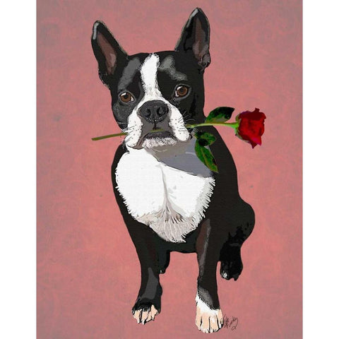 Boston Terrier with Rose in Mouth Black Modern Wood Framed Art Print with Double Matting by Fab Funky