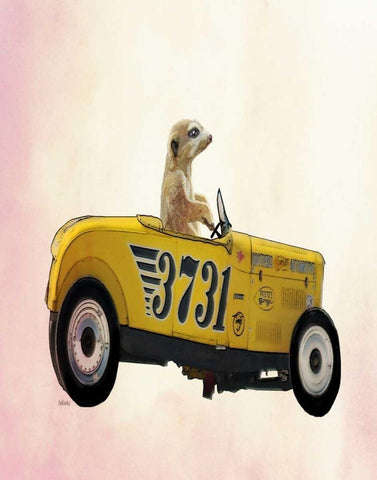 Meerkat in Hot Rod White Modern Wood Framed Art Print with Double Matting by Fab Funky