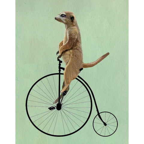 Meerkat on Black Penny Farthing White Modern Wood Framed Art Print by Fab Funky