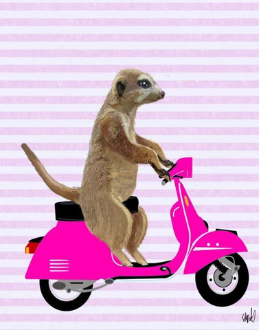 Meerkat on Pink Moped Black Ornate Wood Framed Art Print with Double Matting by Fab Funky