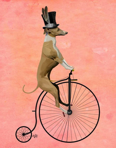 Greyhound on Black Penny Farthing White Modern Wood Framed Art Print with Double Matting by Fab Funky