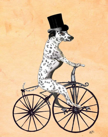 Dalmatian On Bicycle White Modern Wood Framed Art Print with Double Matting by Fab Funky