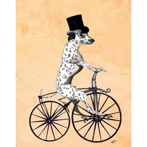 Dalmatian On Bicycle Black Modern Wood Framed Art Print with Double Matting by Fab Funky