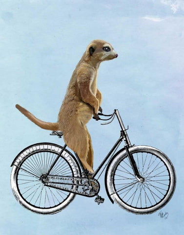 Meerkat on Bicycle Black Ornate Wood Framed Art Print with Double Matting by Fab Funky