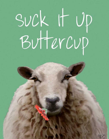 Suck It Up Buttercup Sheep Print Black Ornate Wood Framed Art Print with Double Matting by Fab Funky