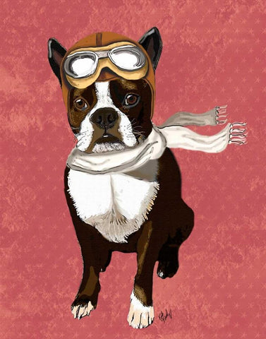 Boston Terrier Flying Ace White Modern Wood Framed Art Print with Double Matting by Fab Funky