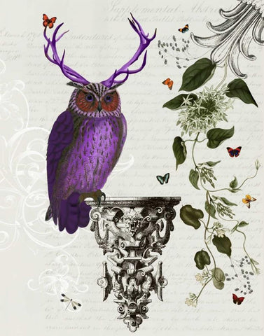 Purple Owl With Antlers White Modern Wood Framed Art Print with Double Matting by Fab Funky