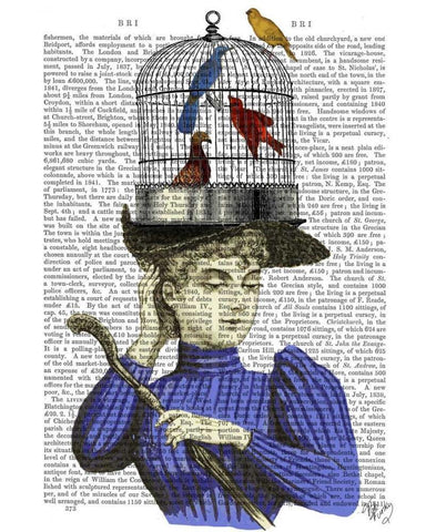 Woman with Birdcage Hat Black Ornate Wood Framed Art Print with Double Matting by Fab Funky